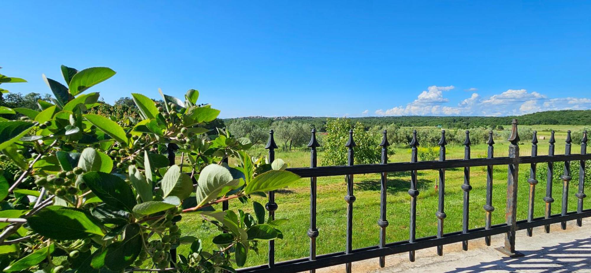 Apartments Vesna With Pool - New! Sveti Lovrec Pazenaticki Exterior photo